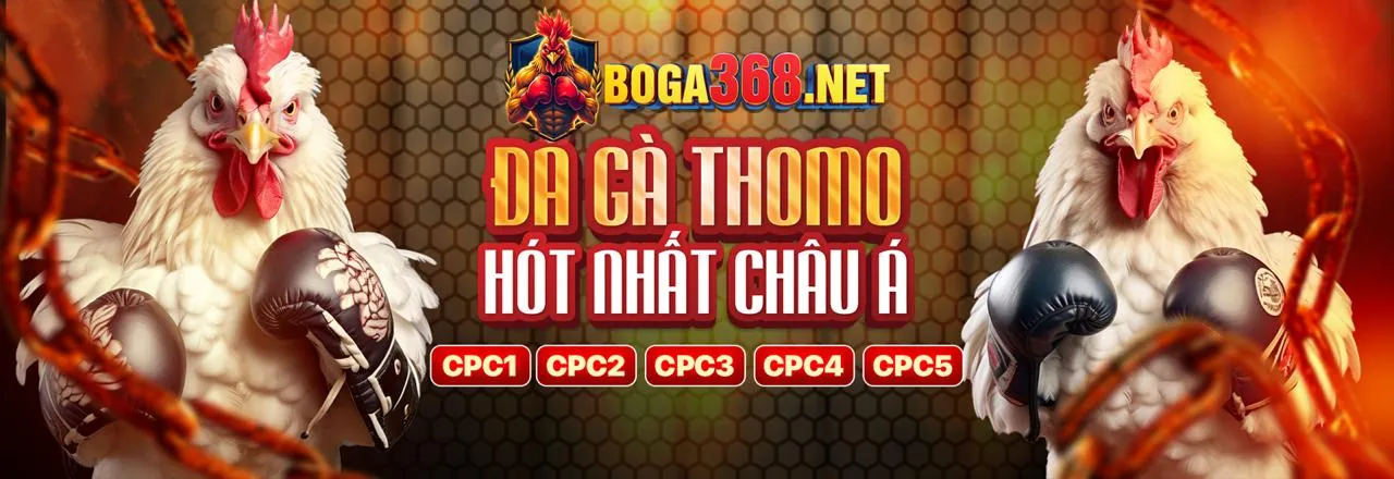 Sới gà kjc789 nhà cái với những trận đấu kịch tính